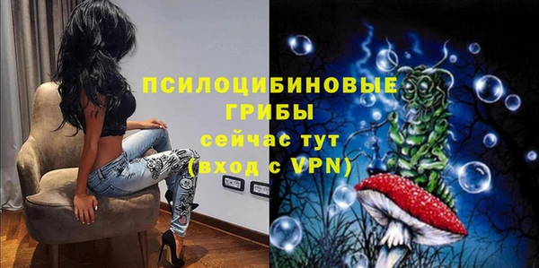 эйфоретик Михайлов