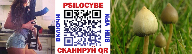 Галлюциногенные грибы ЛСД  ссылка на мегу ONION  Новомичуринск 