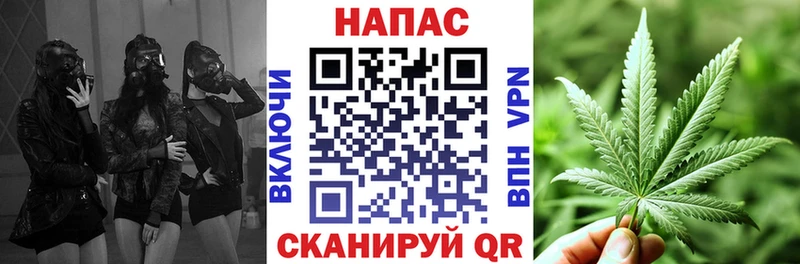 Бошки Шишки SATIVA & INDICA  дарнет шоп  кракен ССЫЛКА  Новомичуринск 